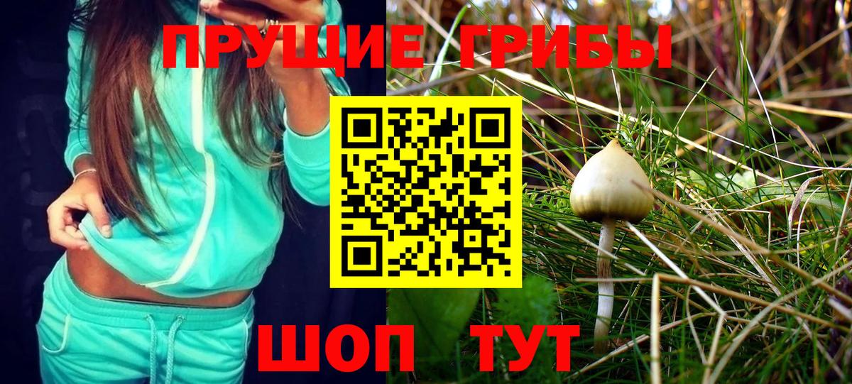 Псилоцибиновые грибы Magic Shrooms Коряжма
